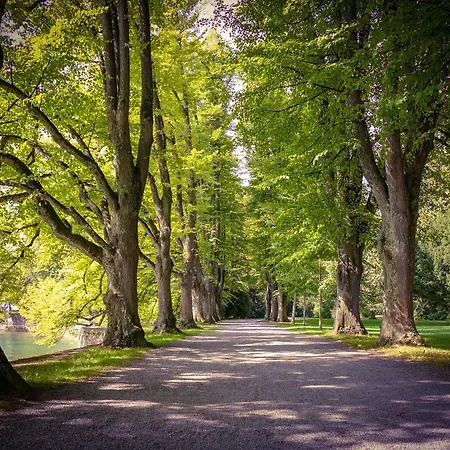 Lindenallee 3* 린다우