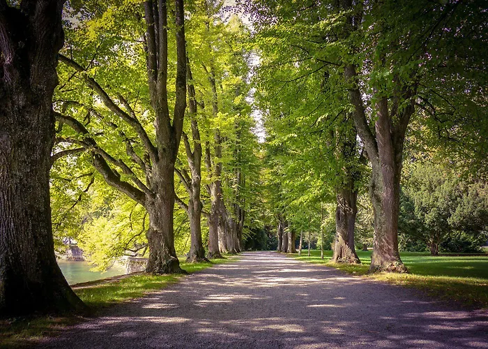 Lindenallee 3* Lindau