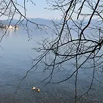 Lindenallee ホテル