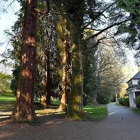 Lindenallee 3*