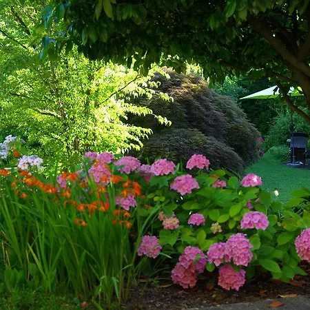 מלון Lindenallee לינדאו