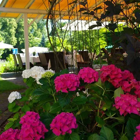 Hotel Lindenallee Lindau (Bodensee)